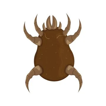 Brown dust mite vector illustration. Microscopic dangerous insect Stock Illustration