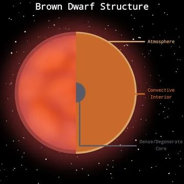 Brown Dwarf Internal Structure Infographic Stock Illustration