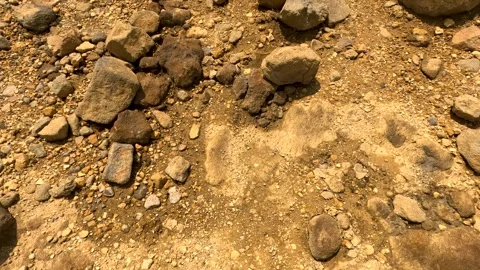 Brown earth ground Stock Footage 244221876