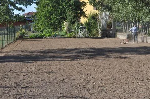 Brown earth surface Stock Photos