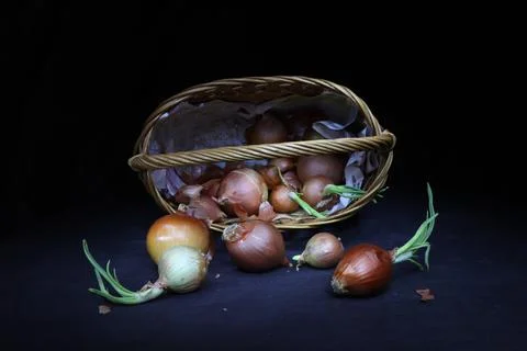 Brown easter basket with onions Stock Photos