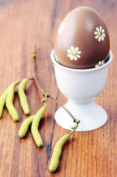 Brown easter egg with Hazel tree twig Stock Photos