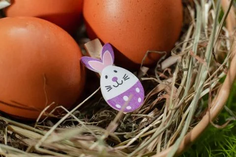 Brown Easter eggs in a basket with hay decorated with figures in the shape Stock Photos