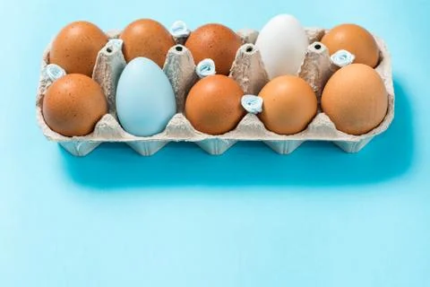 Brown Easter eggs in an eco carton pack Stock Photos