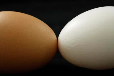 Brown egg and white egg Stock Photos