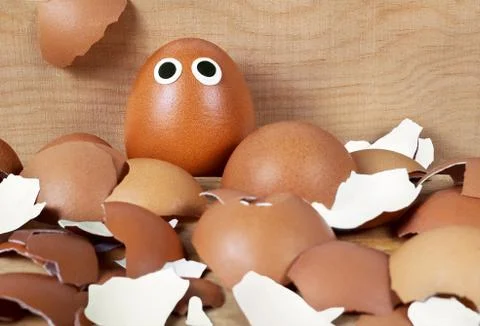 The brown egg with big plasticine eyes in the middle of the broken egg Stock Photos