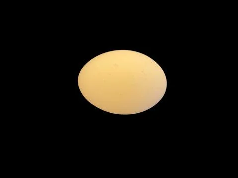 Brown egg on black background 스톡 사진