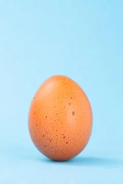 Brown egg on blue background Stock Photos