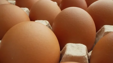 Brown egg in carton, showcasing smooth texture and rich color. Dolly slider shot Stock Footage 287901135