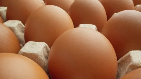 Brown egg in carton, showcasing smooth texture and rich color. Dolly slider shot Video stock 291433771