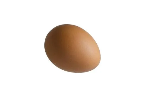 Brown egg closeup isolated on white background Stock Photos