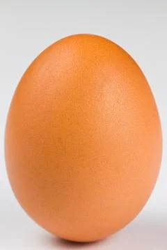 Brown egg closeup Foto stock