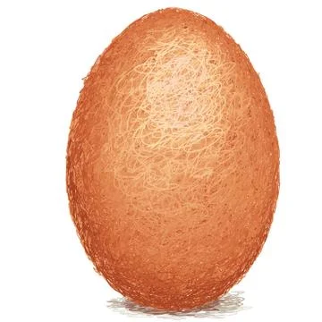Brown egg Stock Illustration