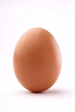 Brown egg isolated on white background Stock Photos