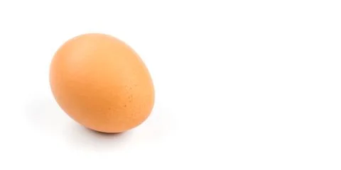 Brown egg Isolated on white background Stock Photos