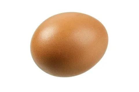 Brown Egg isolated on a white background with copy space Stock Photos