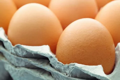 Brown egg Stock Photos