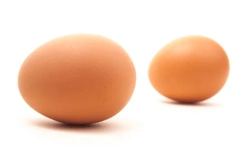 Brown egg Stock Photos