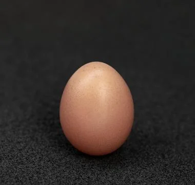 Brown egg Stock Photos