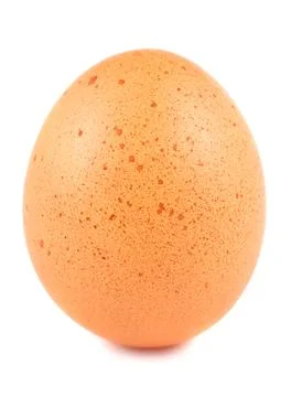 Brown egg Stock Photos