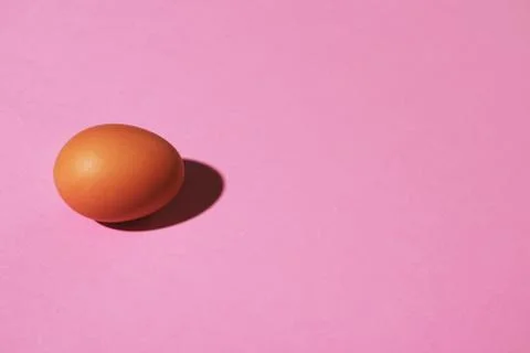 Brown egg on pink background. Stock Photos