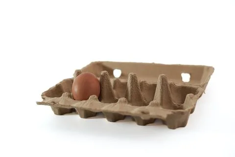 Brown Egg Resting in an Empty Egg Carton on a Neutral Background During a C.. Stock Photos