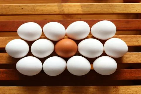 Brown egg in rows of white eggs Stock Photos