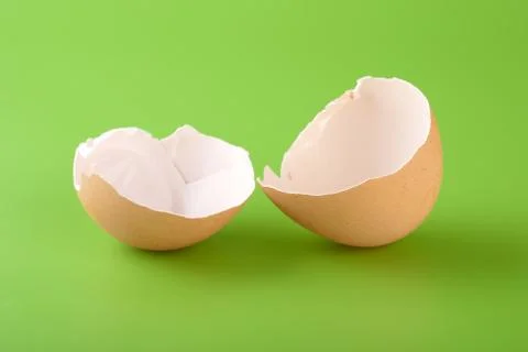 Brown egg shell Stock Photos
