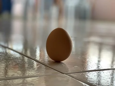 Brown Egg Standing Upright on Tiled Floor for Lichun Tradition Stock Photos