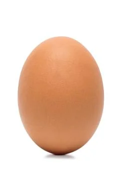 Brown egg on white background Stock Photos
