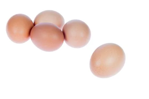 Brown egg on white background Stock Photos