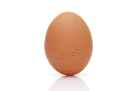 Brown egg on a white background Stock Photos
