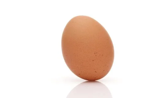 Brown egg on a white background Stock Photos