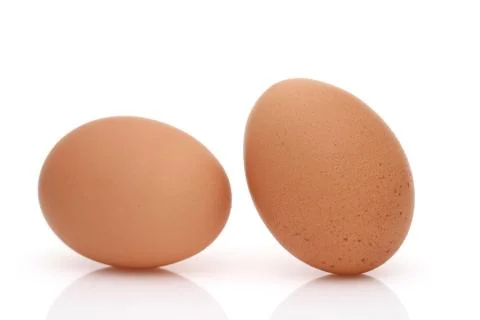 Brown egg on a white background Stock-Fotos