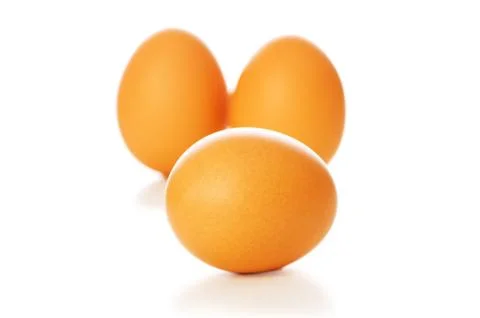 Brown egg on white - shallow depth of field Stock Photos