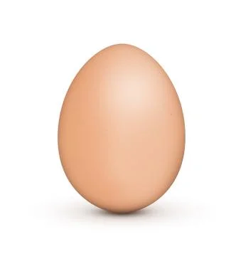 Brown Egg - XL Stock Illustration