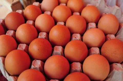 Brown Eggs Against Rustic Background. Warm Natural Light Illuminates Dozen .. Stock Photos