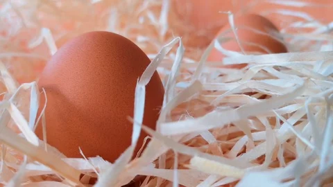 Brown eggs among straw Stock Footage 104589682