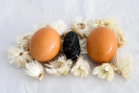 Brown Eggs Background Stock Photos