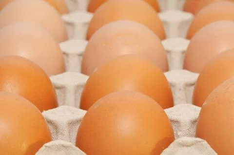 Brown eggs in box Stock Photos
