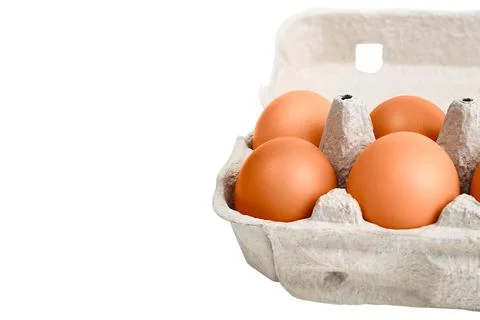 Brown eggs in a cardboard box. Isolated on a white background. Stock Photos