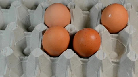 Brown eggs in cardboard packing 動画素材 32151469