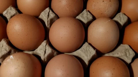 Brown Eggs in a Carton Under Soft Lighting Stock Footage 305369803