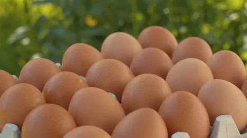 Brown eggs in a egg box Stock Footage 137621563