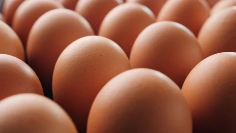 Brown eggs in egg production facility - camera slide. 스톡 동영상 172457445