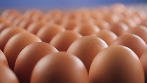 Brown eggs in egg production facility on blue background Видео 173412442