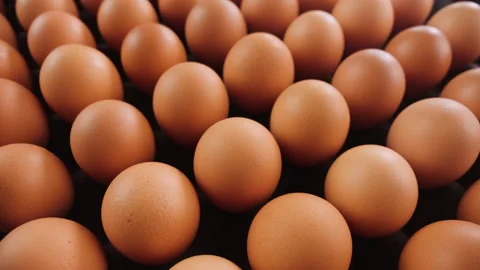 Brown eggs in egg production facility - camera slide above Video stock 175277139