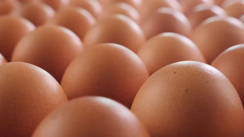 Brown eggs in egg production facility - camera slide above Video stock 179546318