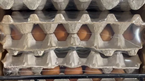 Brown eggs Stock-Footage 171129456
