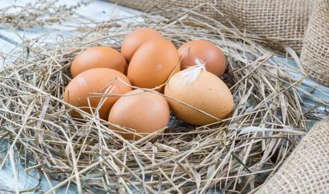 Brown eggs in hay nest Stock Photos